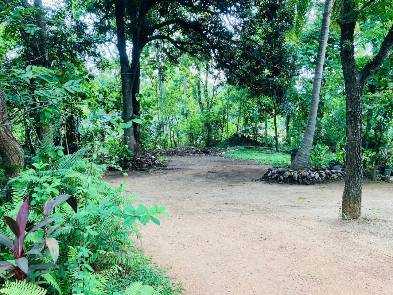 Sigiri Lodge Sigiriya Bagian luar foto